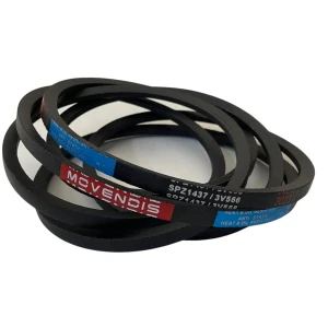 CORREIA EM V SPZ 1437 MOVENDIS