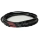 CORREIA EM V XPA 1000 MOVENDIS EPDM
