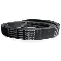 CORREIA-EM-V-XPA-1232-3-