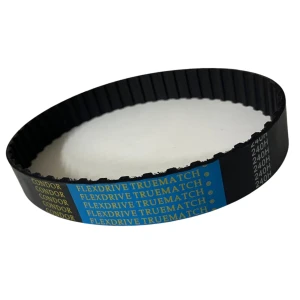CORREIA H 240 X 19MM CONDOR