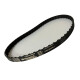 CORREIA H 255 X 75MM CONTITECH