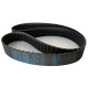 CORREIA H 540 X 38MM DAYCO