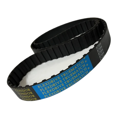 CORREIA H 570 X 50MM CONDOR