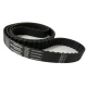 CORREIA H 800 X 25MM CONTITECH