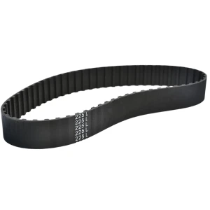 CORREIA L 225 X 22MM