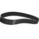 CORREIA L 225 X 23MM