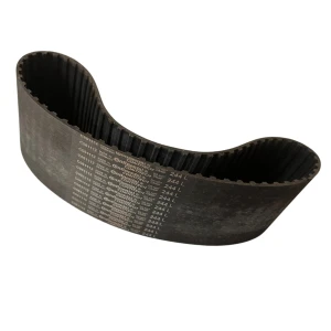 CORREIA L 244 X 25MM CONTITECH