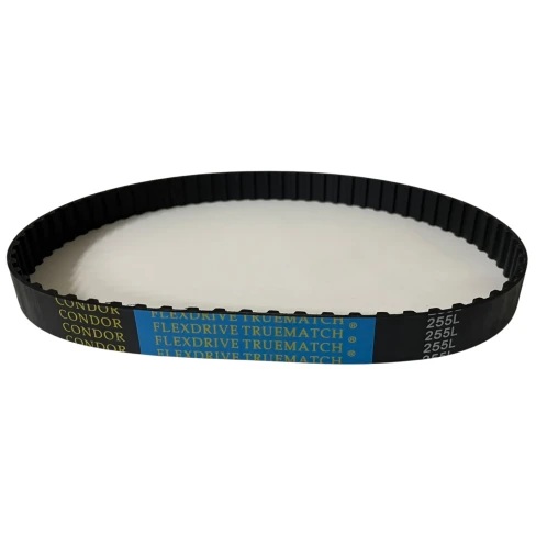 CORREIA L 255 X 10MM CONDOR