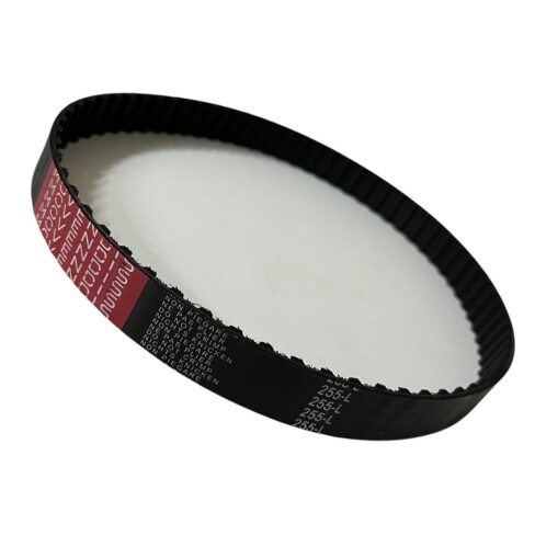 CORREIA L 255 X 25MM MOVENDIS