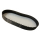 CORREIA L 255 X 25MM CONTITECH