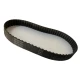 CORREIA L 255 X 25MM CONTITECH