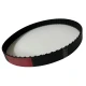 CORREIA L 255 X 31MM SINCRON