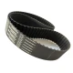 CORREIA L 322 X 13MM CONTITECH