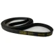 CORREIA MICRO V PH 1965 X 8RI EUROBELT
