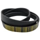 CORREIA MICRO V PJ 1136 X 8RI MEGADYNE