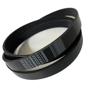 CORREIA MICRO V PJ 1355 X 8RI MOVENDIS