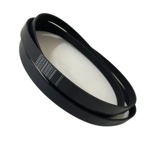 CORREIA MICRO V PJ 2489 X 3RI MOVENDIS