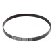 CORREIA MICRO V PJ 559 X 3RI OPTIBELT RB