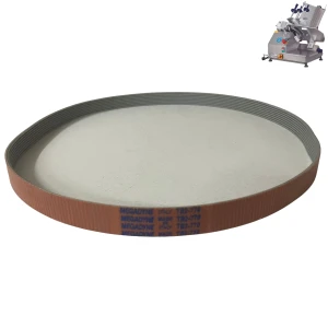 CORREIA MICRO V TB2 770 X 9RI MEGADYNE - FATIADOR DE FRIOS