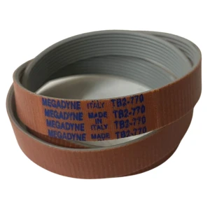 CORREIA MICRO V TB2 770 X 11RI MEGADYNE