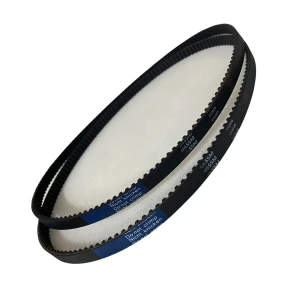 CORREIA S5M 550 X 25MM MEGADYNE/JASON