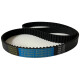CORREIA S8M 1256 X 20MM CONDOR
