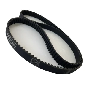 CORREIA S8M 2032 X 20MM STEIGENTECH