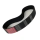 CORREIA S8M 760 X 8MM MOVENDIS PERFORMANCE