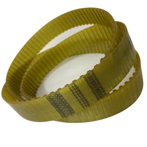 CORREIA T10 2020 X 25MM REXON PU/ACO