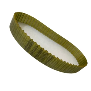 CORREIA T10 560 X 24MM REXON PU/ACO