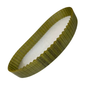 CORREIA T10 560 X 25MM REXON PU/ACO