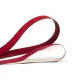 CORREIA TT10 P14TT20 2530 X 50MM AF