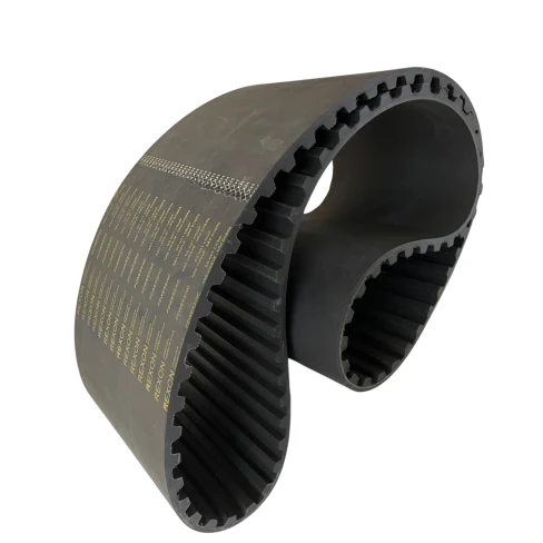 CORREIA XH 560 X 50MM REXON POWERSINC FP