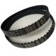 CORREIA XL 100 X 6MM OPTIBELT ZR