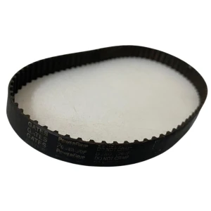 CORREIA XL 160 X 12MM GATES