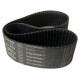 CORREIA XL 230 X 6MM CONTITECH